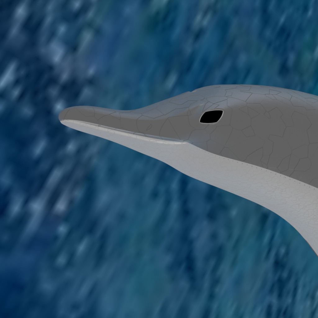 Dolphin 3D preview image 3